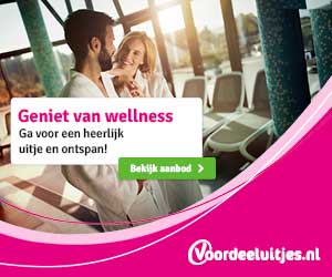 Bezoekers genieten in de sauna